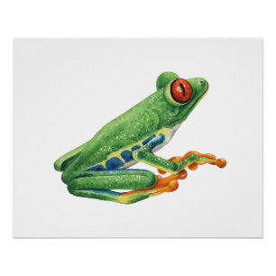 Tree Frog Perfect Poster