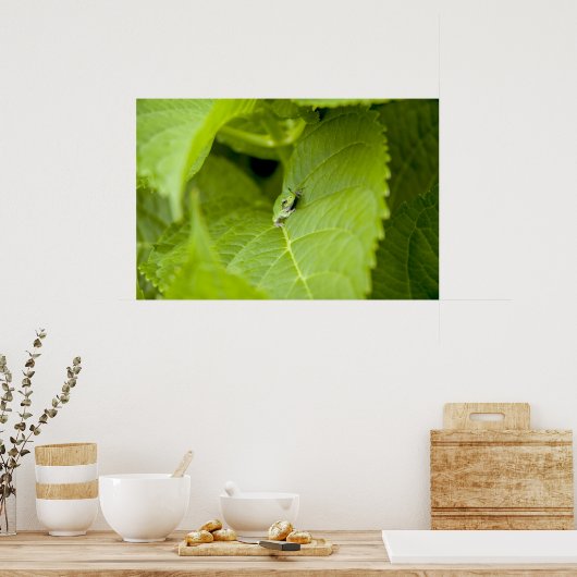 Tree Frog Poster (Keuken)