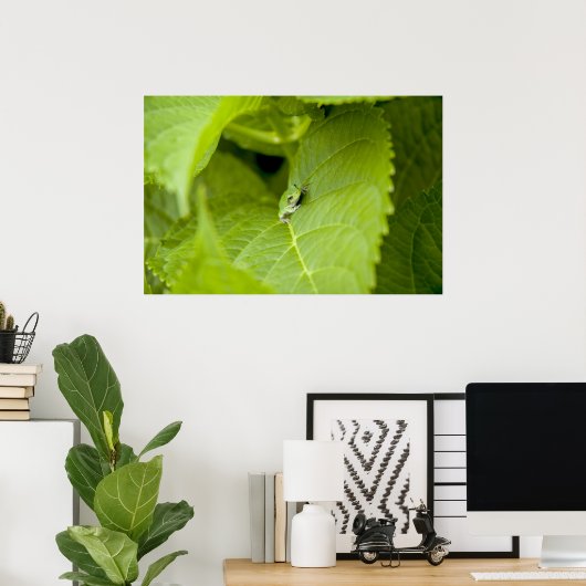Tree Frog Poster (Thuiskantoor)
