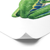 Tree Frog Poster (Hoek)
