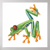 Tree Frog Poster (Voorkant)