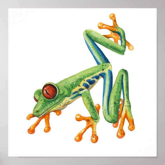 Tree Frog Poster (Voorkant)