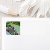 Tree Frog retourlabels Etiket (Insitu)