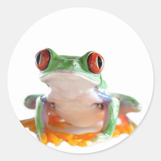 tree frog ronde sticker (Voorkant)