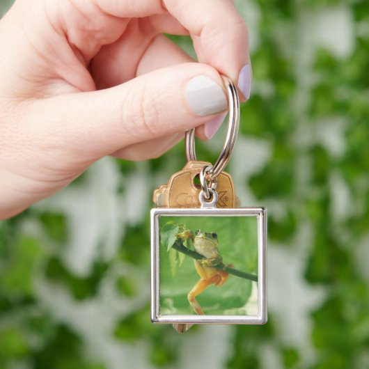 Tree Frog Sleutelhanger (Hand)