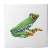 Tree Frog Tegeltje (Voorkant)