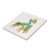 Tree Frog Tegeltje (Zijkant)