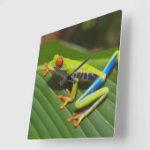Tree Frog Vierkante Klok (Hoek)