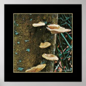 Tree Fungus Poster (Voorkant)