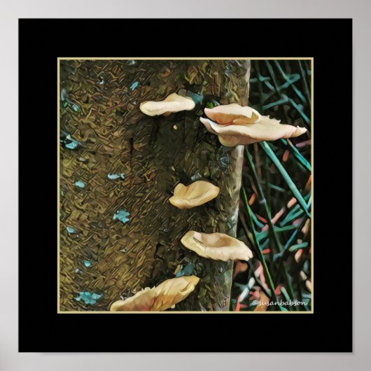 Tree Fungus Poster (Voorkant)