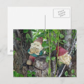 TREE GNOMES BRIEFKAART (Voorkant / Achterkant)