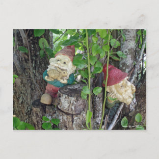 TREE GNOMES BRIEFKAART