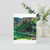 Tree Hanging Lake Glenwood Canyon Colorado Briefkaart (Staand voorkant)