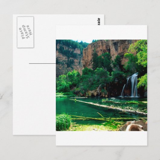 Tree Hanging Lake Glenwood Canyon Colorado Briefkaart (Voorkant / Achterkant)