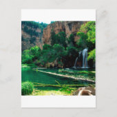 Tree Hanging Lake Glenwood Canyon Colorado Briefkaart (Voorkant)