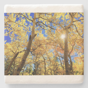 Tree Herfst Natuur Landscapes Sky Destiny's Stenen Onderzetter