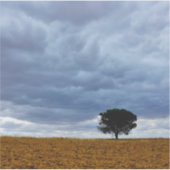 Tree in an empty field sticker (Voorkant)