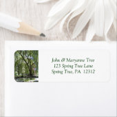 Tree in Spring Return Address Label (Insitu)