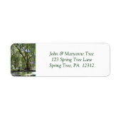 Tree in Spring Return Address Label (Voorkant)
