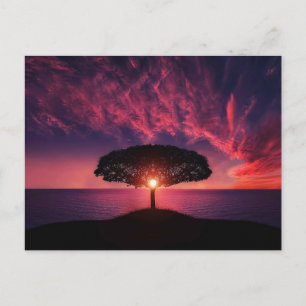 Tree in the sunset briefkaart