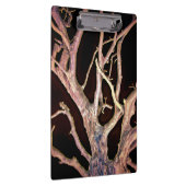 TREE KLEMBORD (Rechts)