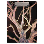 TREE KLEMBORD (Voorkant)