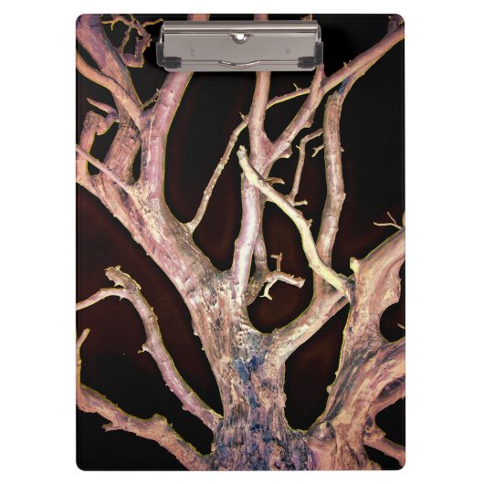 TREE KLEMBORD (Voorkant)