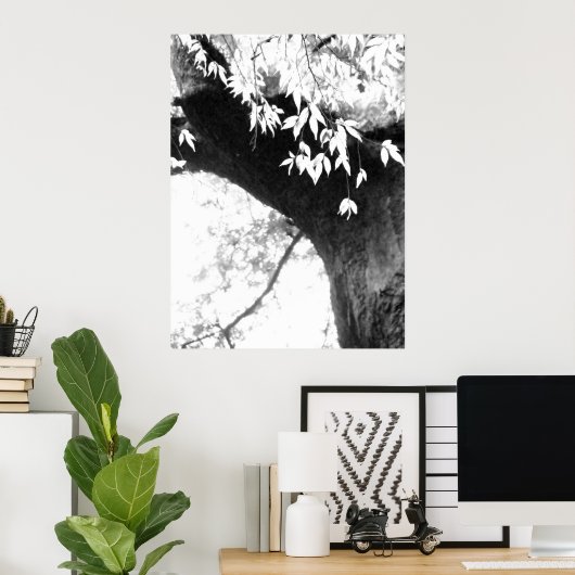 Tree l Still Nature l Photography Poster (Thuiskantoor)