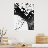 Tree l Still Nature l Photography Poster (Keuken)