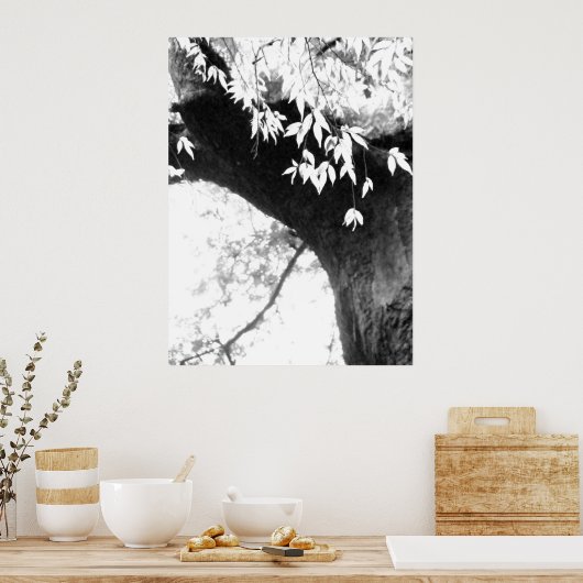 Tree l Still Nature l Photography Poster (Keuken)