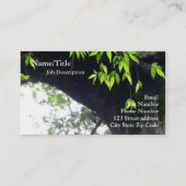 © Tree l Stilstaande Natuur Fotografie Visitekaartje (Achterkant)