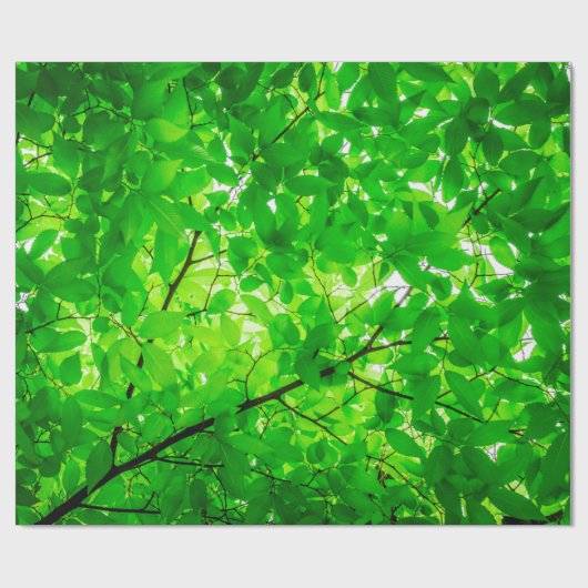 Tree leaf twig texture pattern cadeaupapier (Vlak)