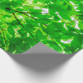 Tree leaf twig texture pattern cadeaupapier (Hoek)