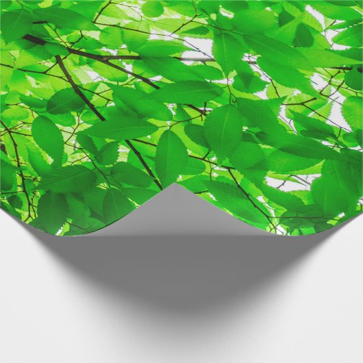 Tree leaf twig texture pattern cadeaupapier (Hoek)