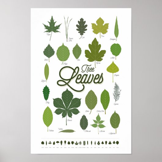 TREE LEAVES póster Poster (Voorkant)