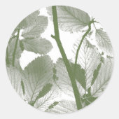 TREE LEAVES RONDE STICKER (Voorkant)
