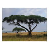 Tree Love Perfect Poster (Voorkant)