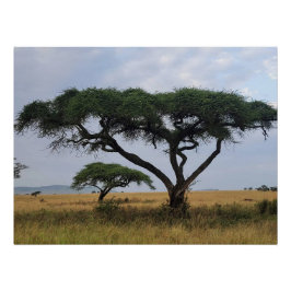 Tree Love Perfect Poster