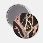 TREE MAGNEET (Voorkant / Achterkant)