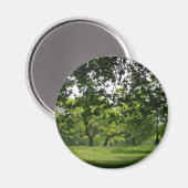 Tree Magnet (Voorkant / Achterkant)