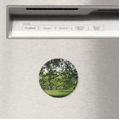 Tree Magnet (Insitu (Vaatwasser))