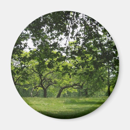 Tree Magnet (Voorkant)