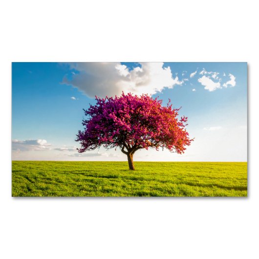 tree magnetisch visitekaartje (Voorkant)