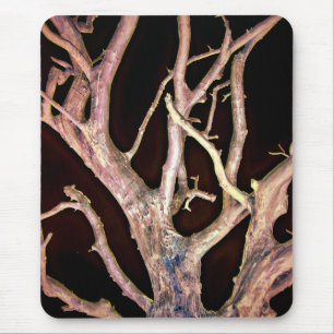 TREE MUISMAT