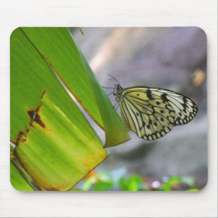 Tree Nymph Rice Paper Butterfly Mousepad Muismat