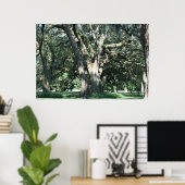 Tree of Ages Foto Poster (Thuiskantoor)