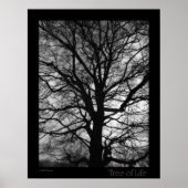 Tree of Life Poster (Voorkant)