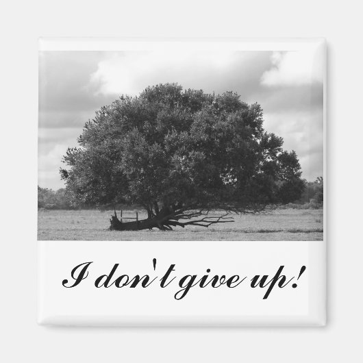 Tree of Life Vierkante magneet (Voorkant)