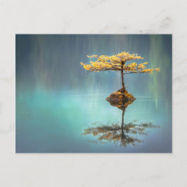 TREE OP EEN ISLAND-BRIEFKAART BRIEFKAART