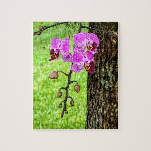 Tree Orchid in Bloom Legpuzzel (Verticaal)